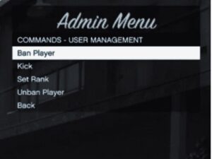 NoPixel Admin Menu